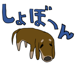 Cute dachshund Sticker sticker #10656018