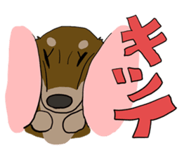 Cute dachshund Sticker sticker #10656022