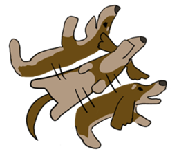 Cute dachshund Sticker sticker #10656028