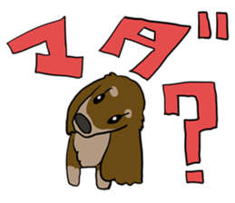 Cute dachshund Sticker sticker #10656029