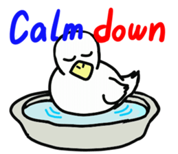 MR.duck ~English edition~ sticker #10656084