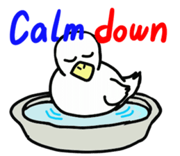 MR.duck ~English edition~ sticker #10656084