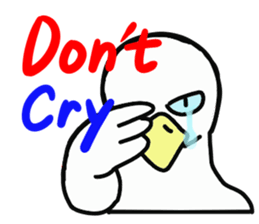 MR.duck ~English edition~ sticker #10656090