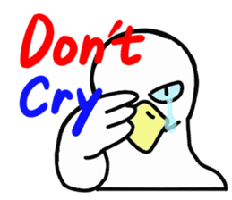 MR.duck ~English edition~ sticker #10656090