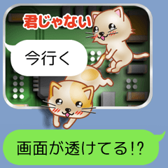 A Cat Waiting in The Back of The Screen