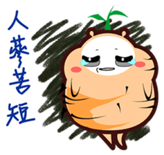 This is Ginseng sticker #10657234