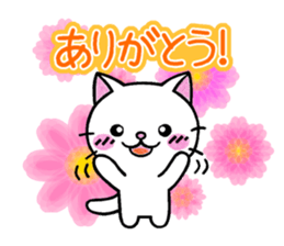 White cat's basic set sticker #10657562