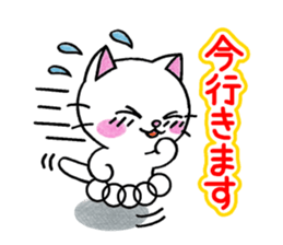 White cat's basic set sticker #10657570