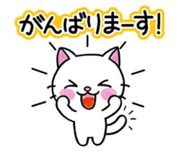 White cat's basic set sticker #10657579