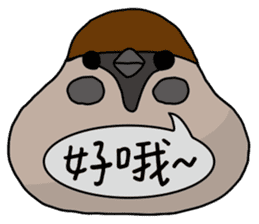 Talking Sparrow sticker #10658440