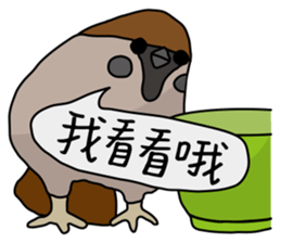 Talking Sparrow sticker #10658441