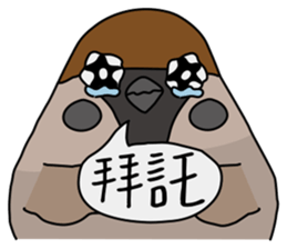Talking Sparrow sticker #10658450