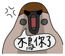 Talking Sparrow sticker #10658462