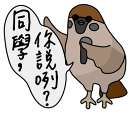 Talking Sparrow sticker #10658467