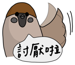 Talking Sparrow sticker #10658468