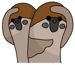 Talking Sparrow sticker #10658469