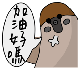 Talking Sparrow sticker #10658479