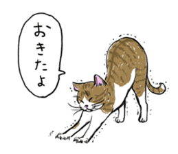 Try to spend in one day cat sticker #10658800