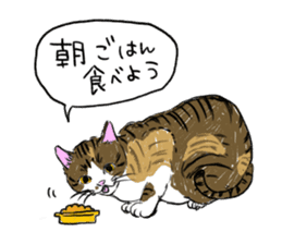 Try to spend in one day cat sticker #10658803