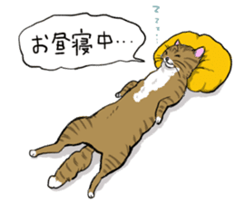 Try to spend in one day cat sticker #10658815