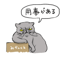 Try to spend in one day cat sticker #10658827