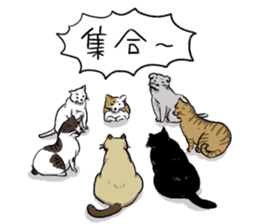 Try to spend in one day cat sticker #10658828