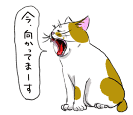 Try to spend in one day cat sticker #10658829