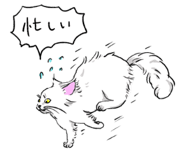 Try to spend in one day cat sticker #10658831