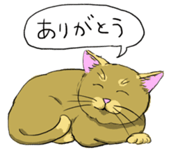 Try to spend in one day cat sticker #10658832