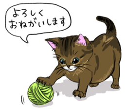 Try to spend in one day cat sticker #10658833