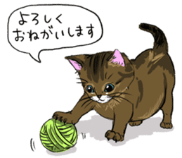 Try to spend in one day cat sticker #10658833