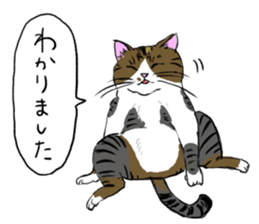 Try to spend in one day cat sticker #10658834