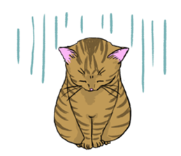 Try to spend in one day cat sticker #10658837