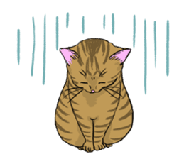 Try to spend in one day cat sticker #10658837