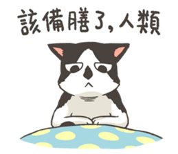 3 Mix Cats sticker #10659721