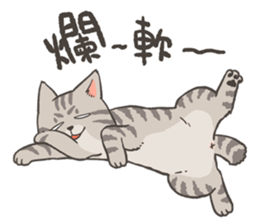 3 Mix Cats sticker #10659724