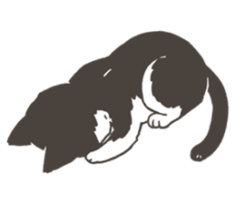 3 Mix Cats sticker #10659726