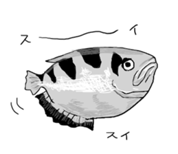 Creatures of little realistic sea sticker #10659891