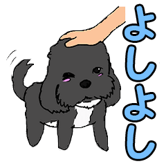 Speaking mix dog name is SASUKE