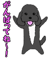 Action Branding Co., Ltd.