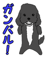 Speaking mix dog name is SASUKE sticker #10661441