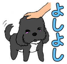 Speaking mix dog name is SASUKE sticker #10661443