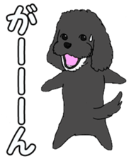 Speaking mix dog name is SASUKE sticker #10661444