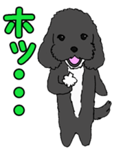 Speaking mix dog name is SASUKE sticker #10661446