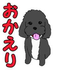 Speaking mix dog name is SASUKE sticker #10661453