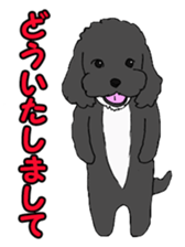 Speaking mix dog name is SASUKE sticker #10661456
