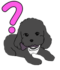 Speaking mix dog name is SASUKE sticker #10661458