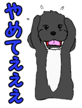 Speaking mix dog name is SASUKE sticker #10661459