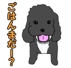 Speaking mix dog name is SASUKE sticker #10661460