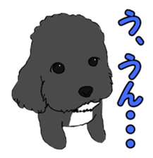 Speaking mix dog name is SASUKE sticker #10661461